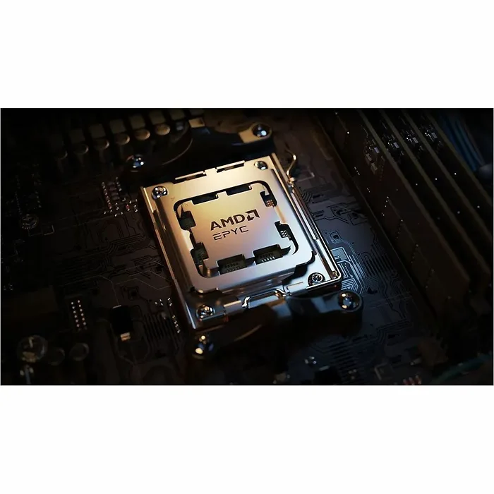 AMD-100-100001478WOF