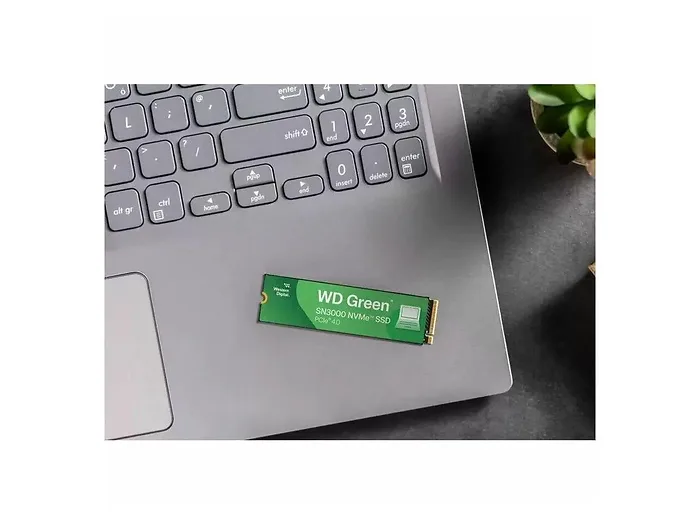 Western Digital-WDS200T4G0E-00CPS0