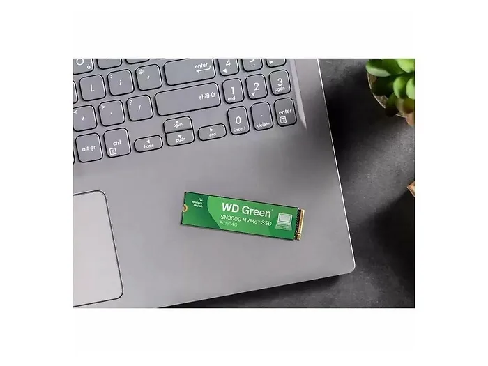 Western Digital-WDS100T4G0E-00CPS0