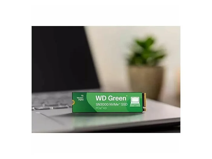 Western Digital-WDS100T4G0E-00CPS0