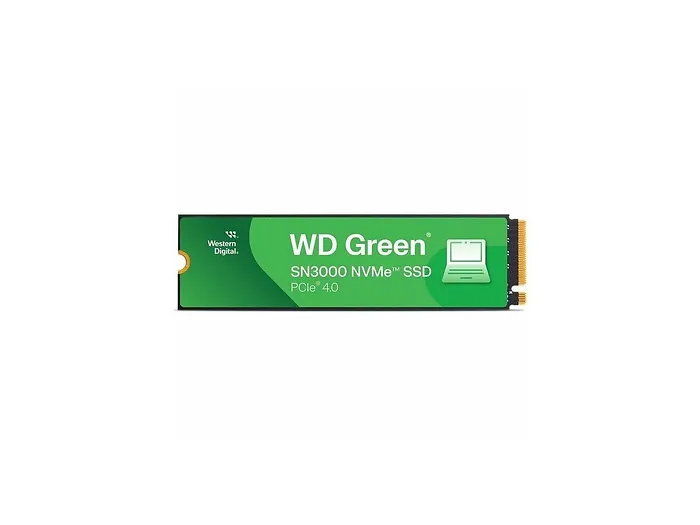 Western Digital-WDS100T4G0E-00CPS0