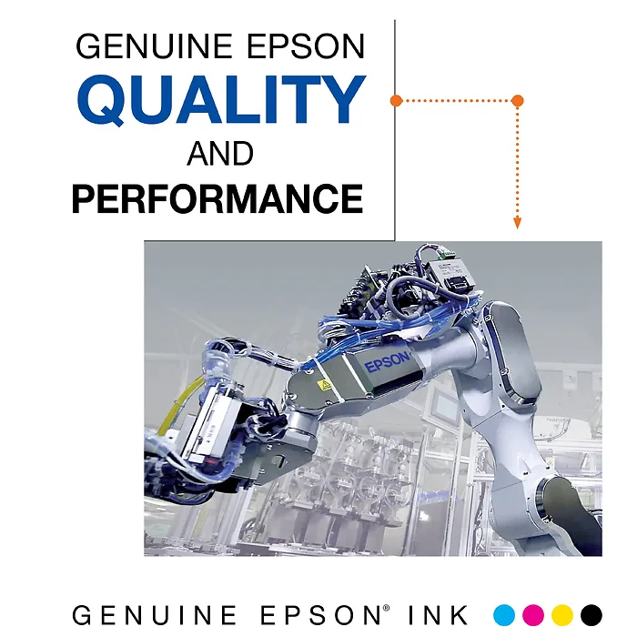 EPSON-T200120-BCS