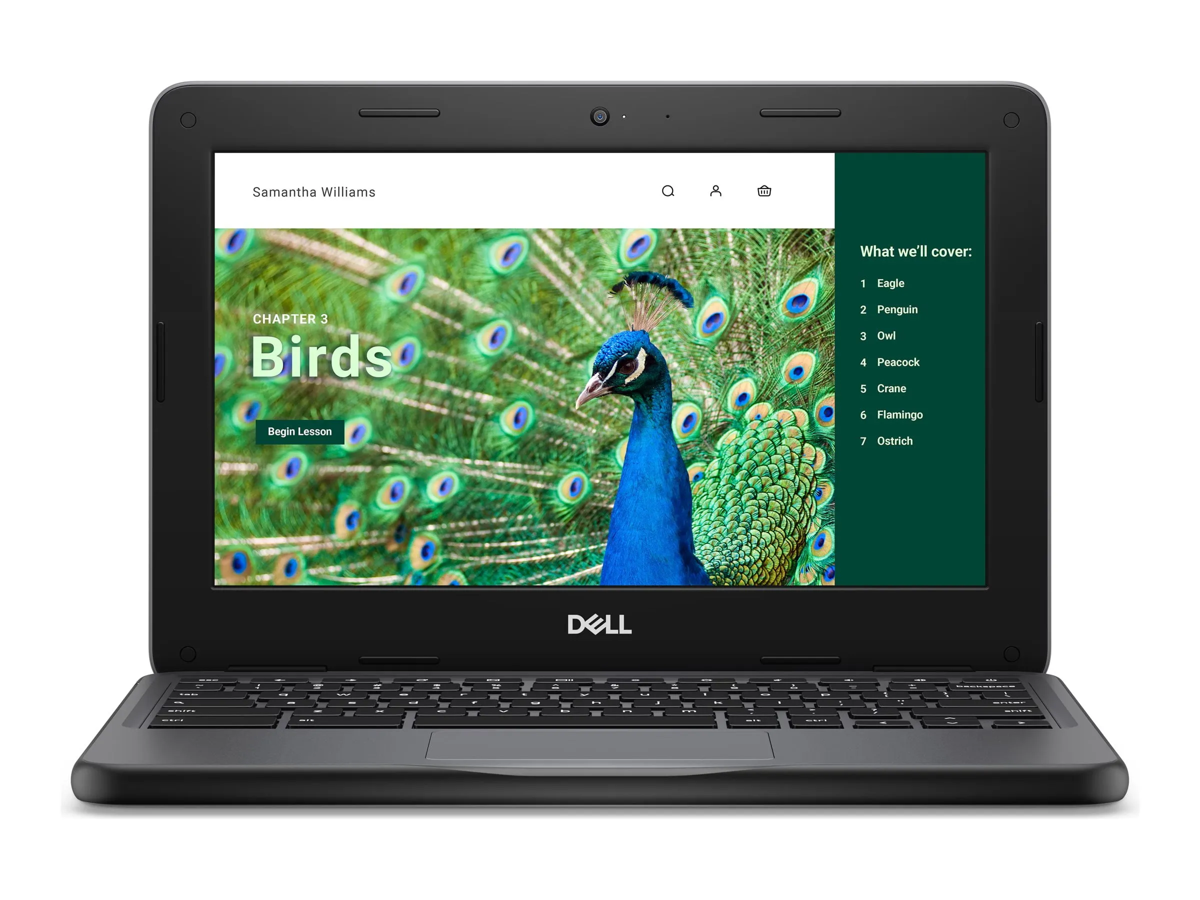 DELL CC6PF — CHROMEBOOK 31204GB (1DIMM)64GB EMMCNT1366X768WLS3C 42WH