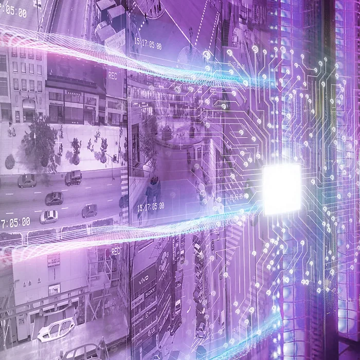 Western Digital-WD221PURP