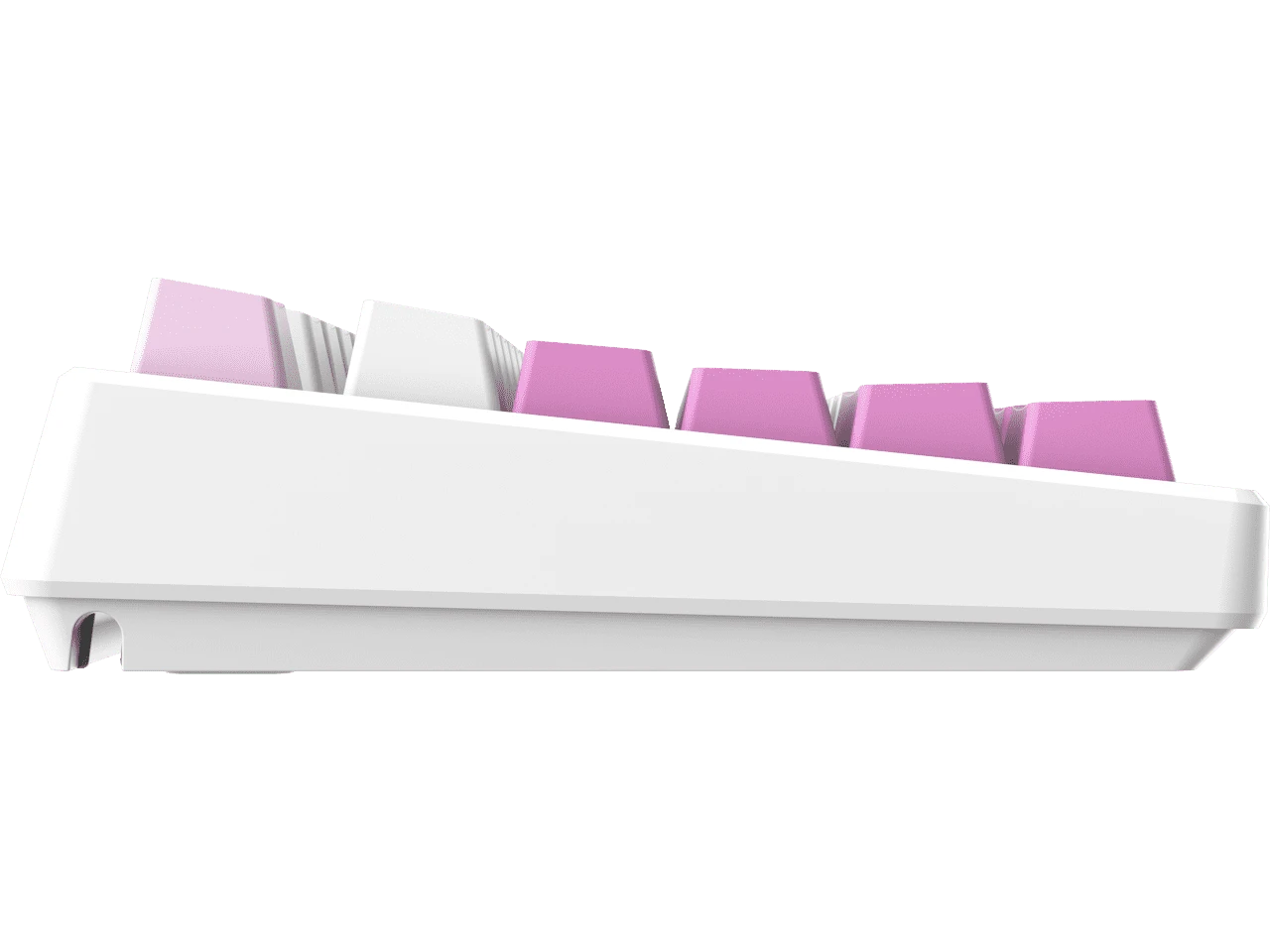 MSI FORGEGK600V — MSI Forge GK600 TKL Wireless RGB Mechanical Keyboard