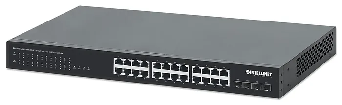 Intellinet-561761