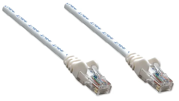 Intellinet-347501