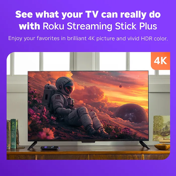 Roku-3830R