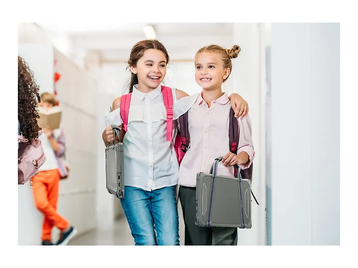 MAX CASES-DLESF3311021GRY