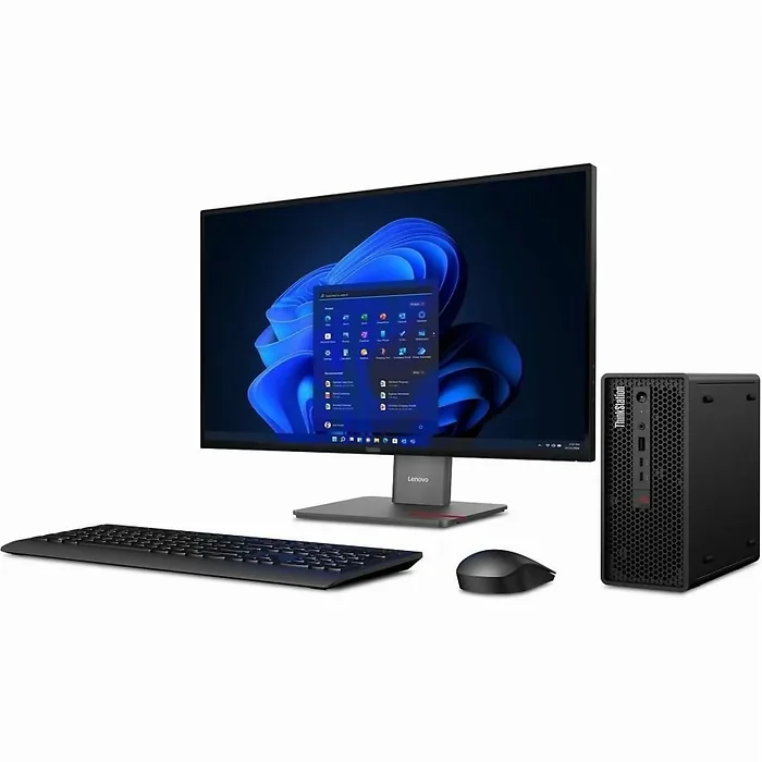 LENOVO-30J50033US