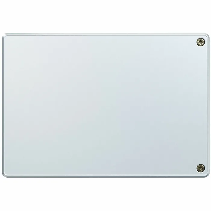 SOLIDIGM-SSDPF2KX019T1OZ