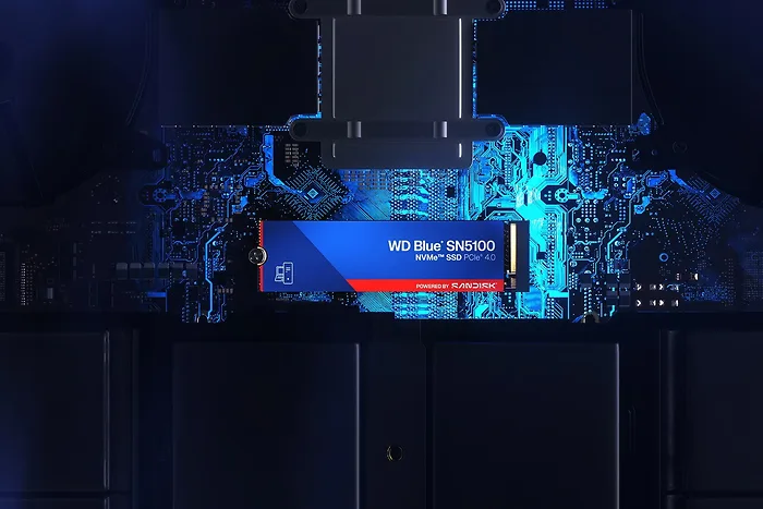 Western Digital-WDS500G5B0E-00CPE0