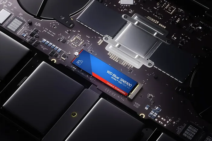 Western Digital-WDS500G5B0E-00CPE0