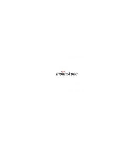Miscellaneous Brands MST-BATTERY — Battery W10 for MWP1100 3.7V 1100mAh