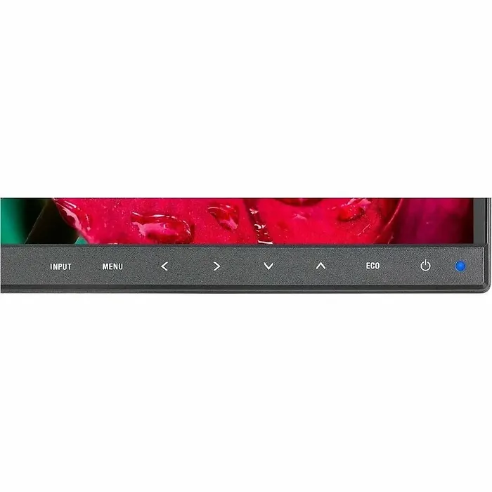 SHARP NEC-DD-EA242W