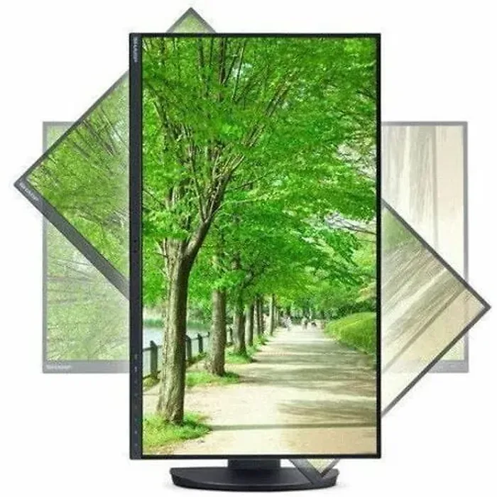 SHARP NEC-DD-EA241F