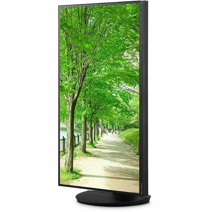 SHARP NEC-DD-EA241F
