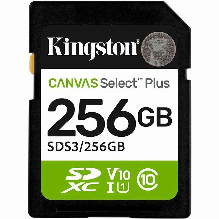 KINGSTON-SDS3/256GB