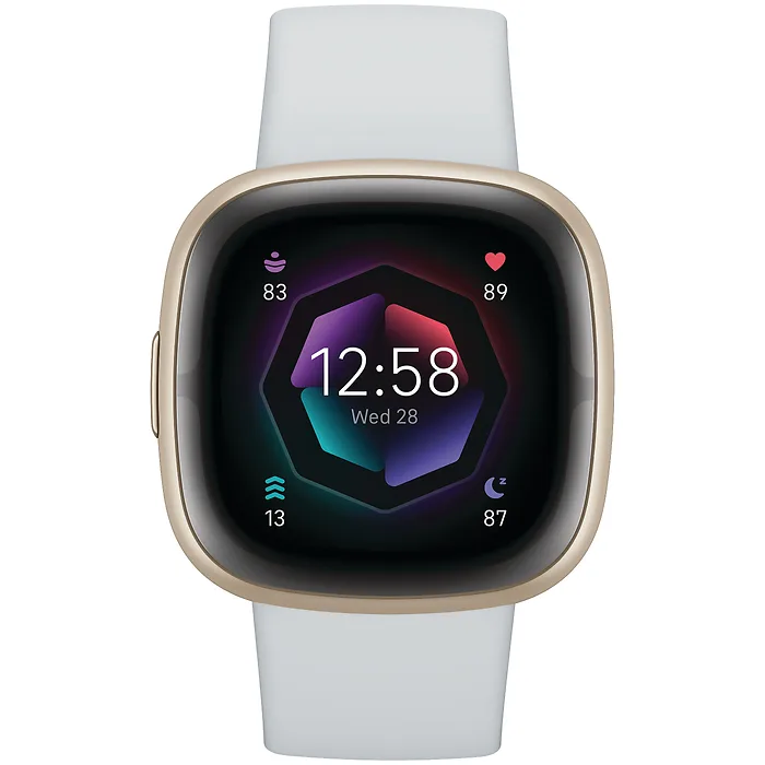 Fitbit-FB521GLBM-US