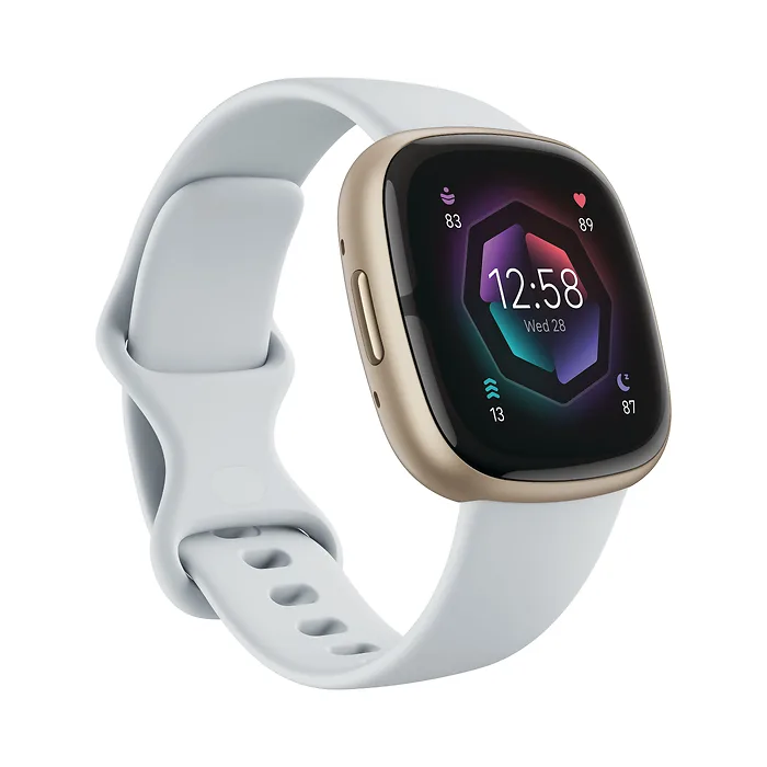 Fitbit-FB521GLBM-US