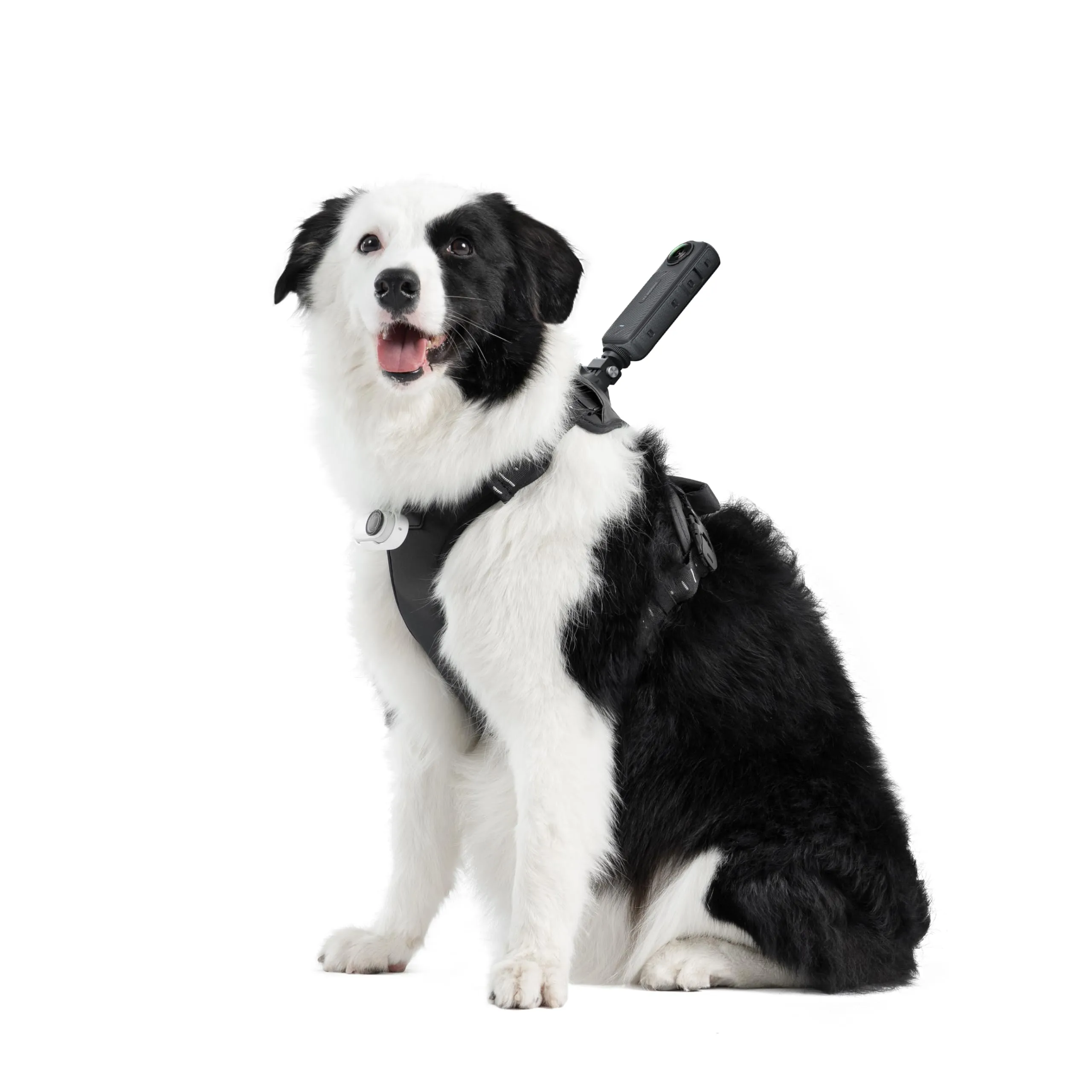 Insta360 CINSBAVZ — Insta360 Pet Harness Mount Size L for Action Cameras