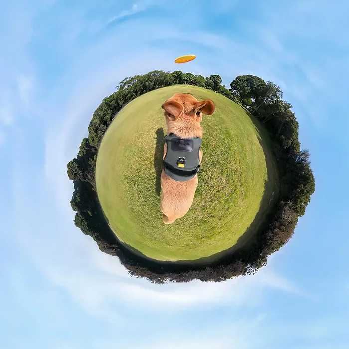 Insta360-CINSBAVZ