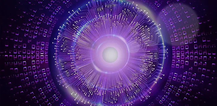 Western Digital-WDD100T1P0C