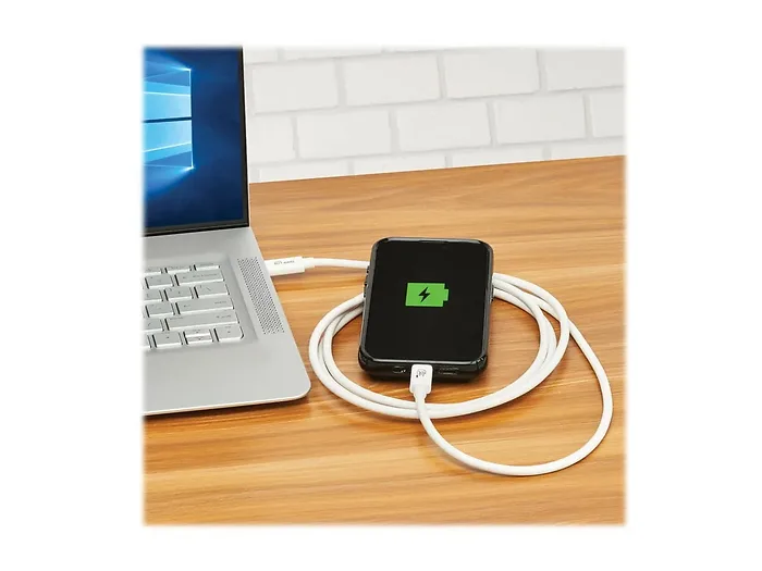 Eaton Tripplite-U521-1P0M-WH20G