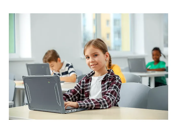 Bamboo Origins MAXIN-LNESF3100EG4GRY