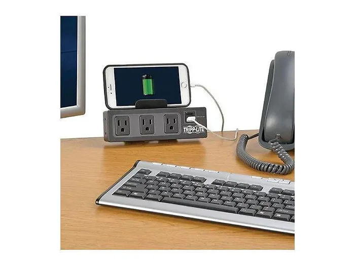 Eaton Tripplite-TLP310USBC