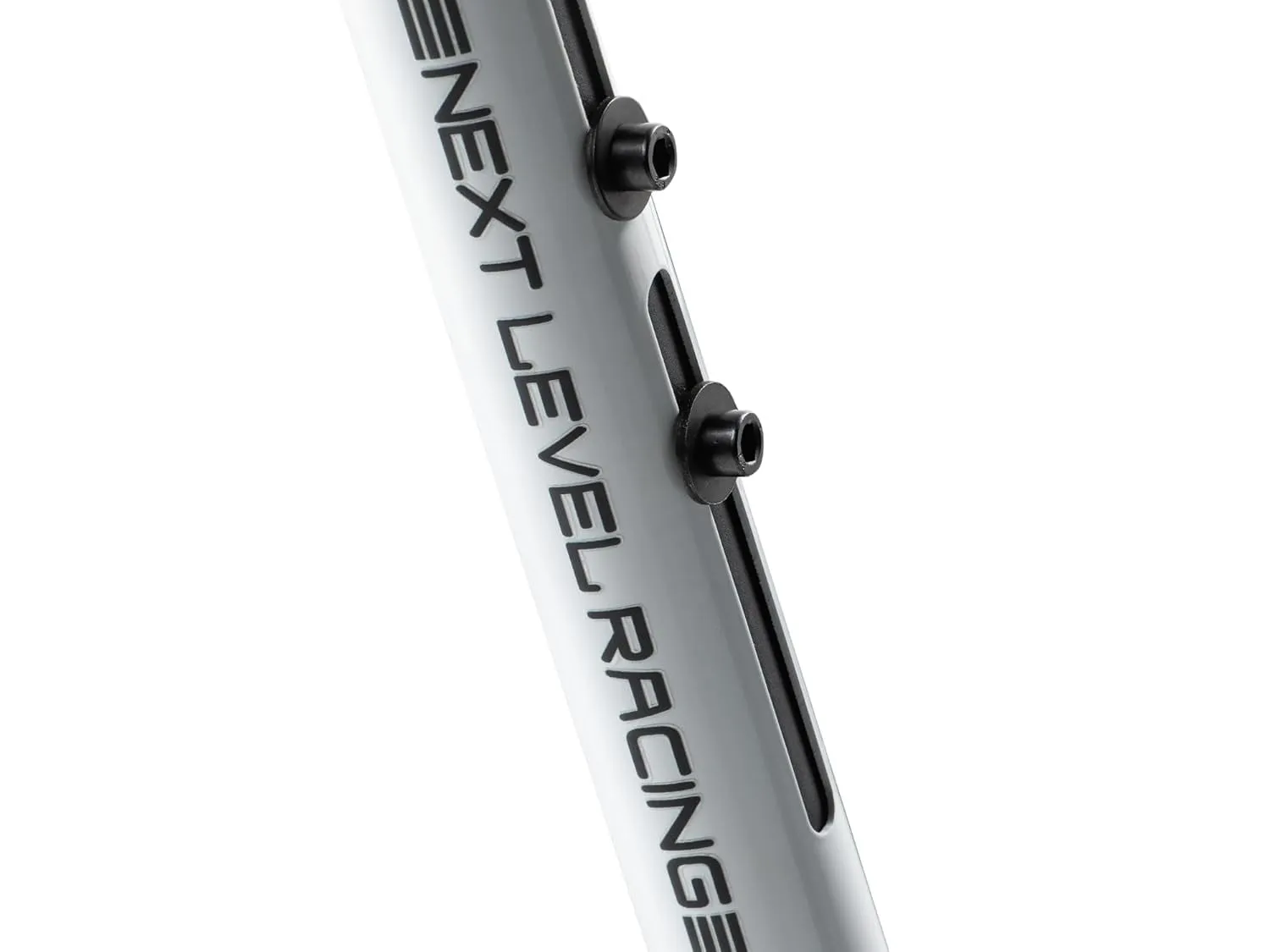 SECURITY NLR-S042 — NEXT LEVEL RACING