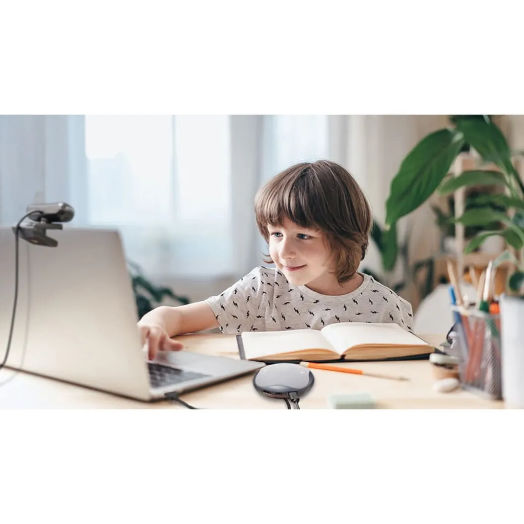 AVER AS315 — AVERMEDIA AS315 POCKET SPEAKERPHONE - ALL-IN-ONE PERSONAL SPEAKERPHONE FOR HOME