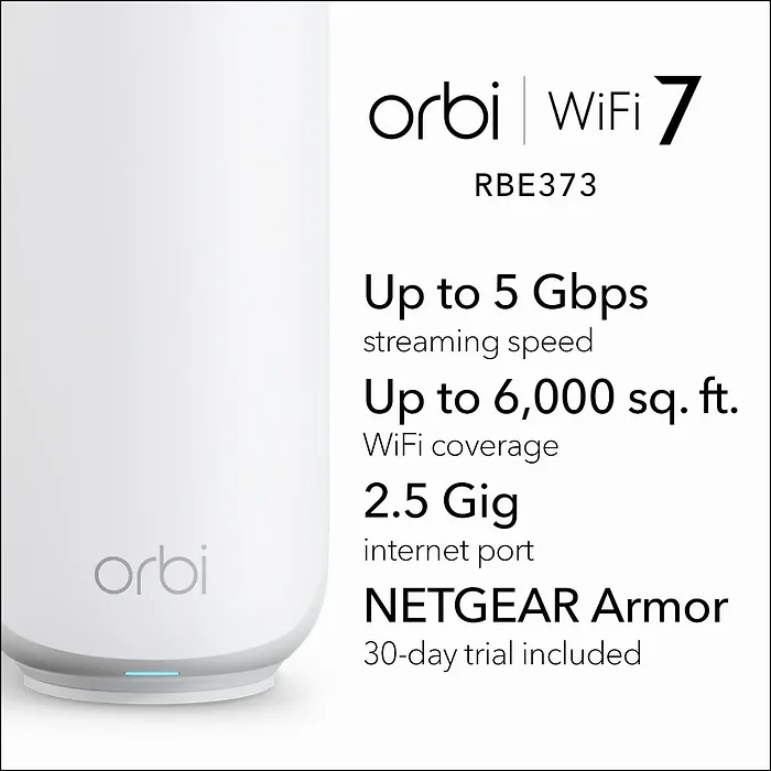 NETGEAR-RBE373-100NAS
