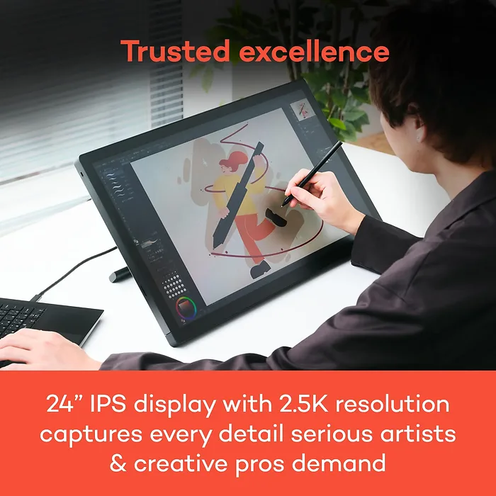 WACOM-DTK246K0A