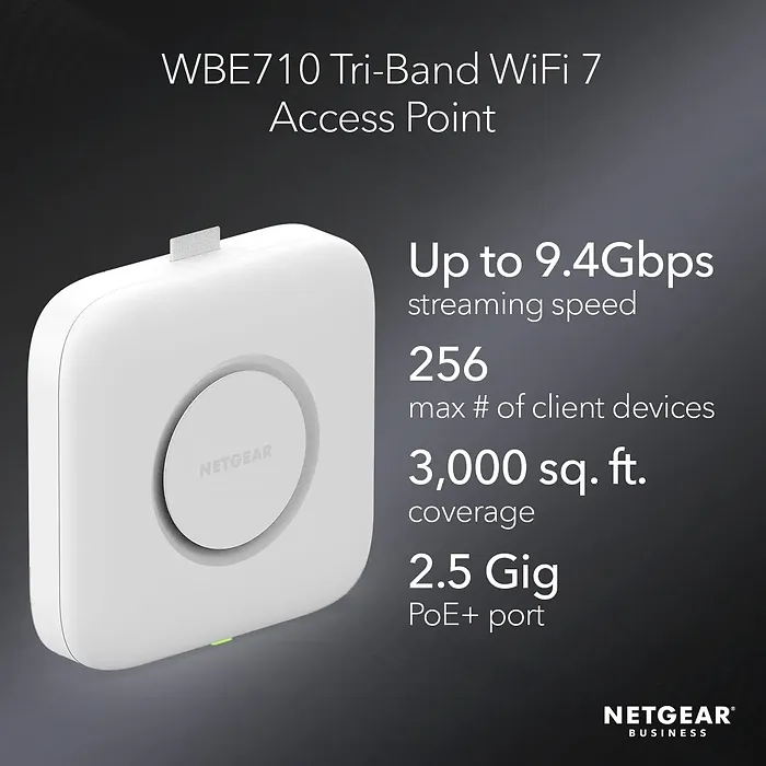 NETGEAR-WBE710-100NAS