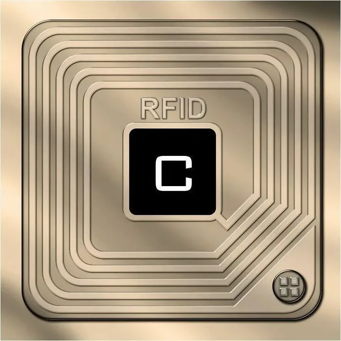 Parfums Des Champs-OB-404-BROWN