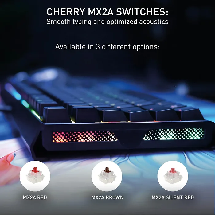 Cherry-G80-3890HHAUS-2