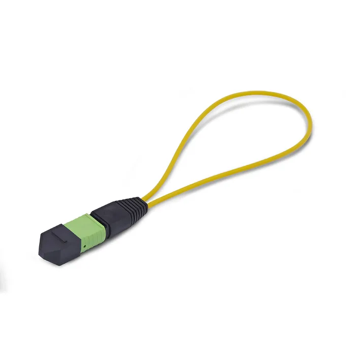 STARTECH-LOOPBACKMTP12OS2SMM