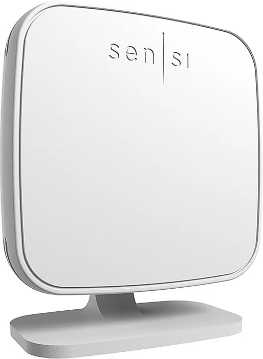 Emerson-RS01-SG
