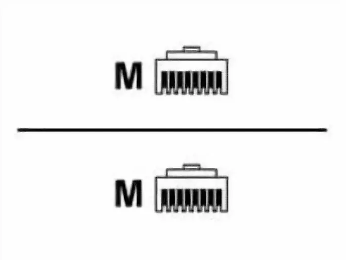 Belkin-A3L9002-25-BLUS