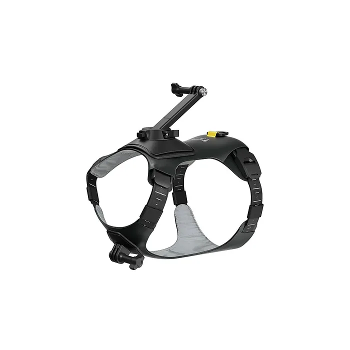 Insta360-CINSBAVX-01