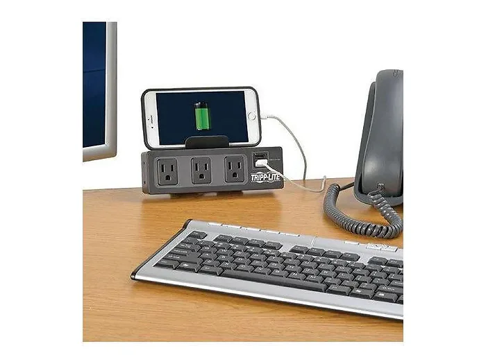 Eaton Tripplite-TLP310USBC