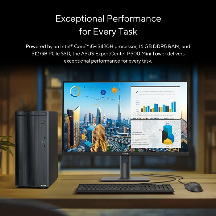 ASUS-P500MV-XS503
