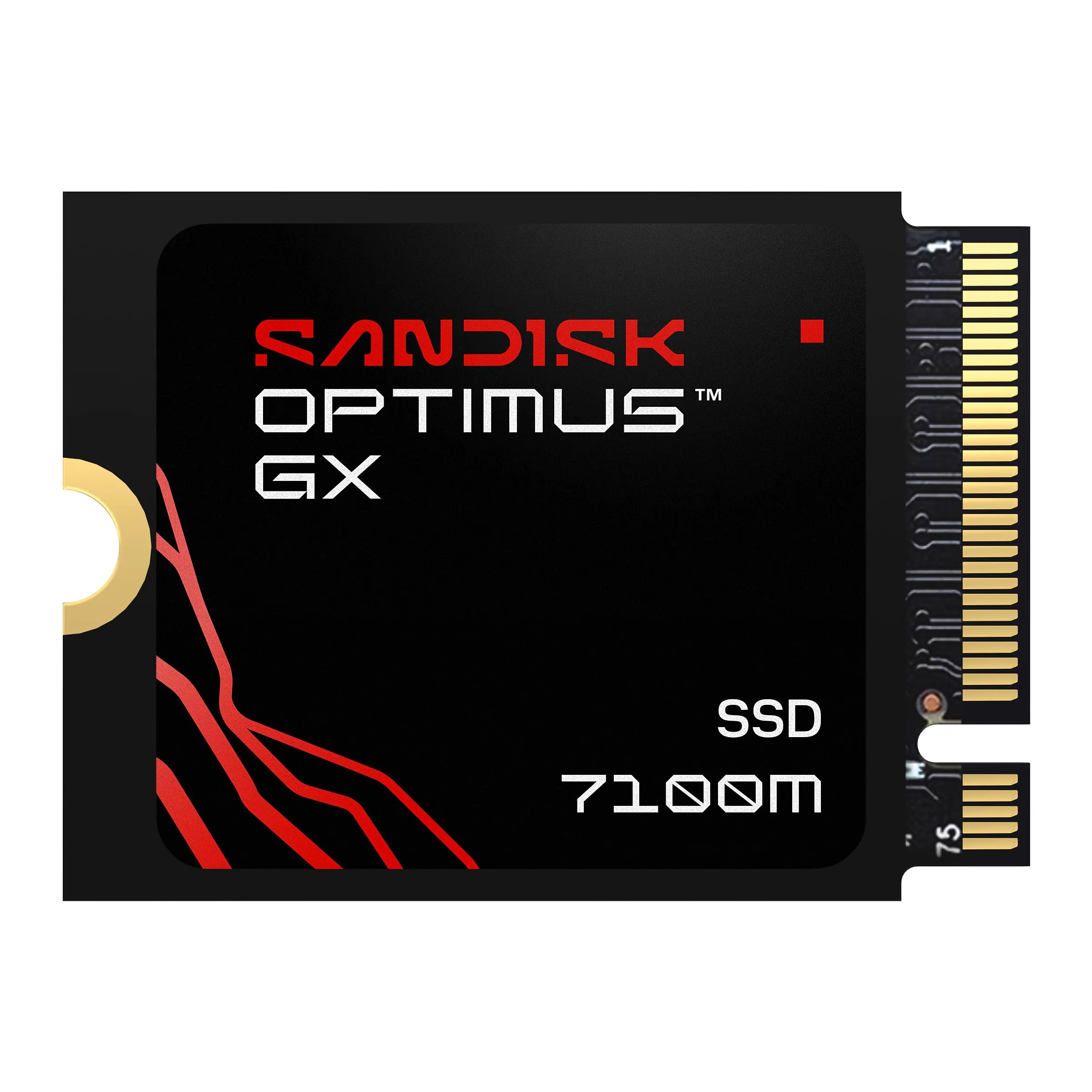 Western Digital SDSP71100TAT-000E0 — SANDISK OPTIMUS GX 7100M