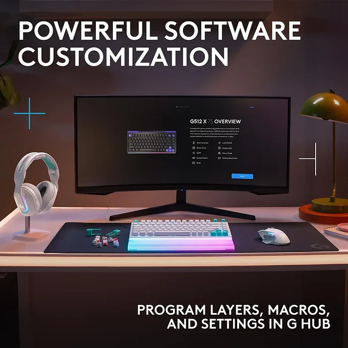 Logitech-920-013949