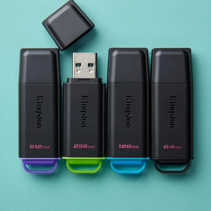 KINGSTON-DTXG2/256GB