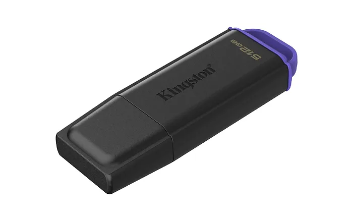 KINGSTON-DTXG2/512GB