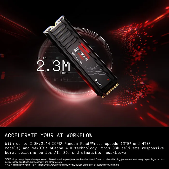 Western Digital-SDSP82200TAH-000E0