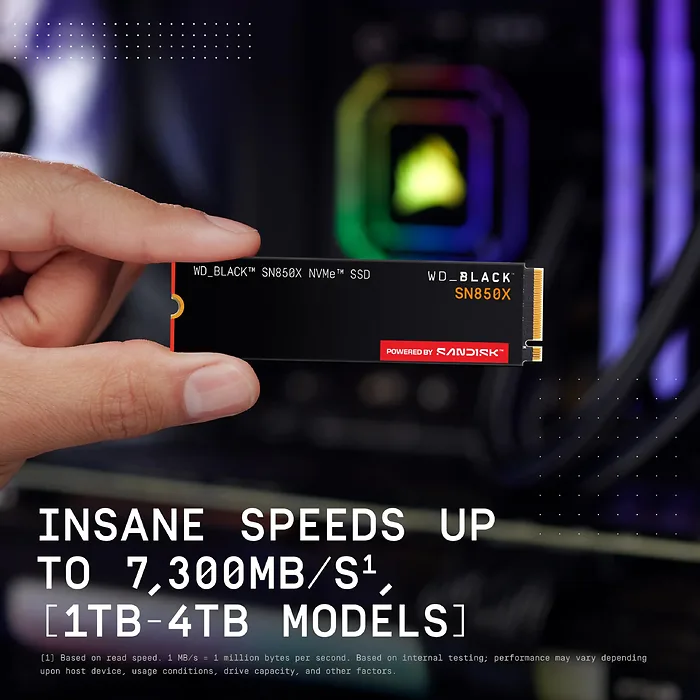 Western Digital-WDS100T2X0E