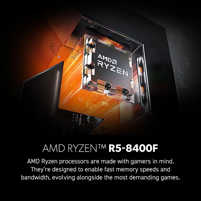 MSI-CODZ2B8NVM800